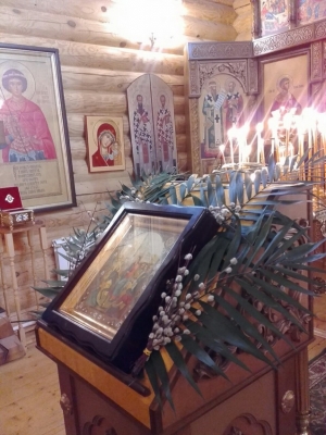 Вербное воскресенье в храмах Покровского благочиния
