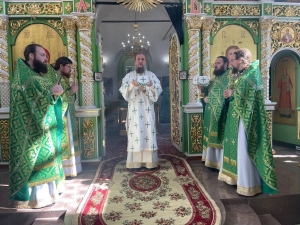 В праздник Входа Господня в Иерусалим епископ Пахомий совершил Божественную литургию в храме Живоначальной Троицы села Новошешминска