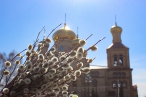 Торжественные богослужения в честь Входа Господня в Иерусалим прошли в храмах Чистопольской епархии