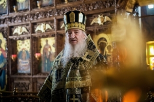 Митрополит Феофан: «Не надо смущаться остаться дома. Если ты верующий, Бог услышит тебя»