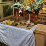 IMG_5495_новый размер