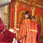 IMG_8499_новый размер